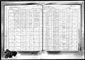 1925 NY Census example image.jpg